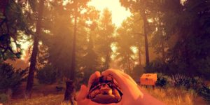 landscape 1474977591 firewatch tortoise