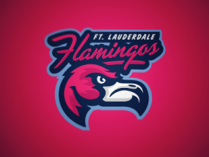 Miami Flamingos sign new team